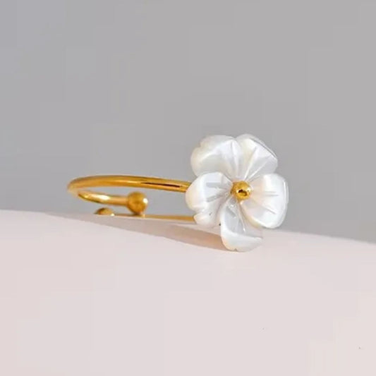 Anillo Neris