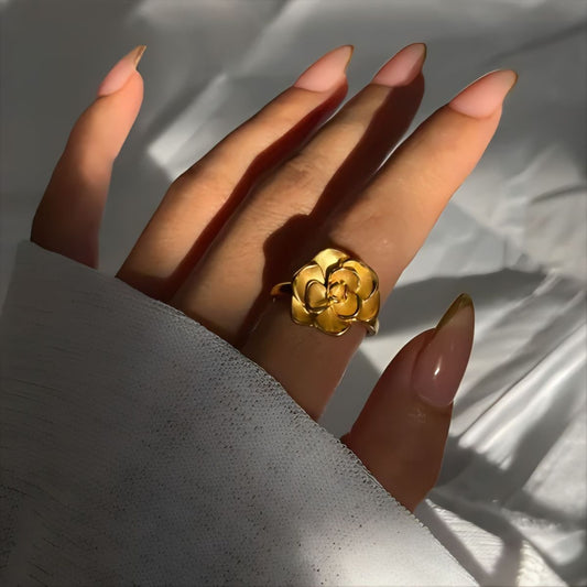 Anillo Aceri