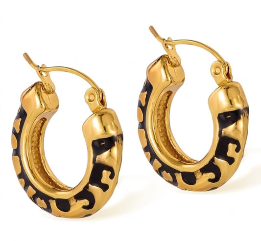 Argollas Terra