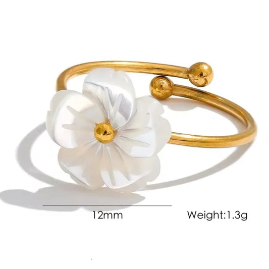 Anillo Neris