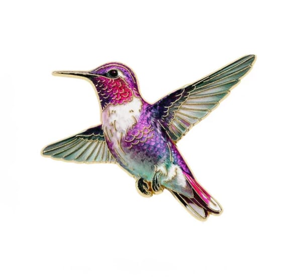 Pin colibrí