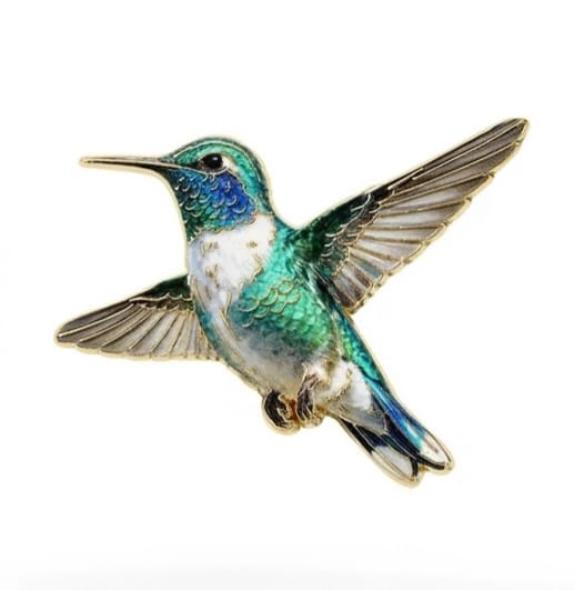 Pin colibrí