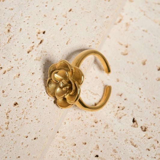 Anillo Aceri